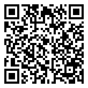 Negozio edo tokiko QR edo bidi kodea