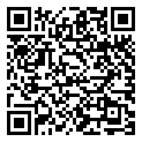 Negozio edo tokiko QR edo bidi kodea