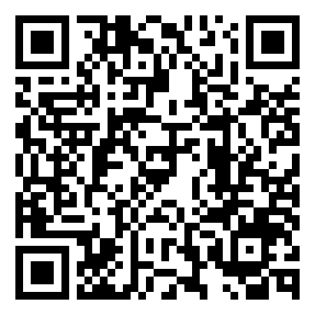 Negozio edo tokiko QR edo bidi kodea