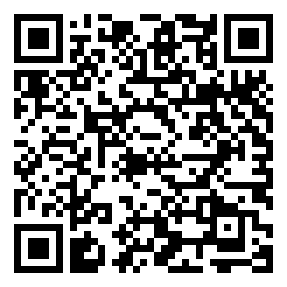 Negozio edo tokiko QR edo bidi kodea