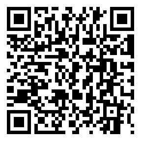 Negozio edo tokiko QR edo bidi kodea