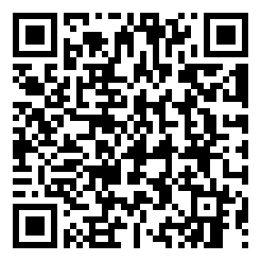 Negozio edo tokiko QR edo bidi kodea