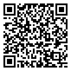 Negozio edo tokiko QR edo bidi kodea