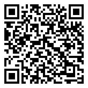 Negozio edo tokiko QR edo bidi kodea