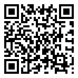 Negozio edo tokiko QR edo bidi kodea