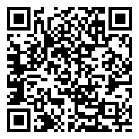 Negozio edo tokiko QR edo bidi kodea