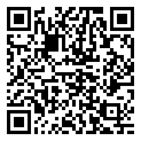 Negozio edo tokiko QR edo bidi kodea
