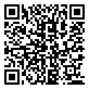 Negozio edo tokiko QR edo bidi kodea