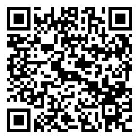 Negozio edo tokiko QR edo bidi kodea
