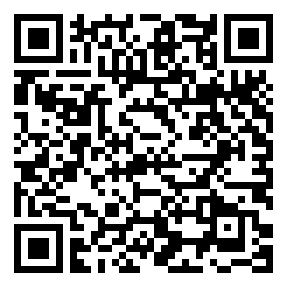 codice QR o Bidi dell'attività commerciale o luogo