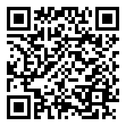 codice QR o Bidi dell'attività commerciale o luogo