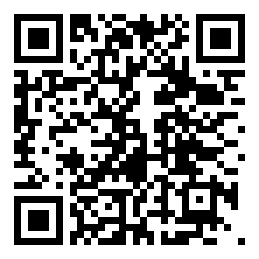 Negozio edo tokiko QR edo bidi kodea