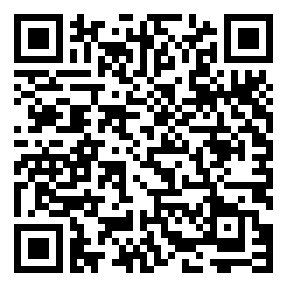 Negozio edo tokiko QR edo bidi kodea