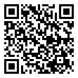 Negozio edo tokiko QR edo bidi kodea
