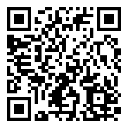 Codigo QR o Bidi del negocio o lugar