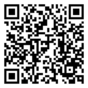 Negozio edo tokiko QR edo bidi kodea