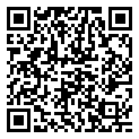 codice QR o Bidi dell'attività commerciale o luogo
