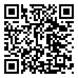 Negozio edo tokiko QR edo bidi kodea