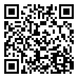 Negozio edo tokiko QR edo bidi kodea