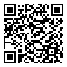 Negozio edo tokiko QR edo bidi kodea