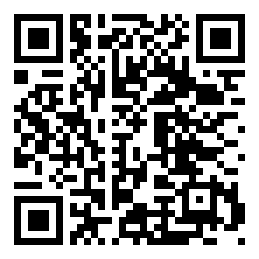 Negozio edo tokiko QR edo bidi kodea