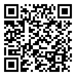 Negozio edo tokiko QR edo bidi kodea