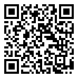 codice QR o Bidi dell'attività commerciale o luogo