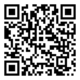 Negozio edo tokiko QR edo bidi kodea