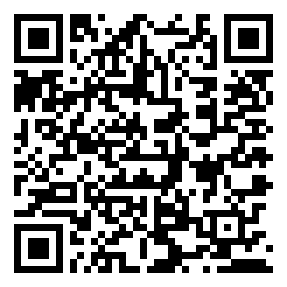 Negozio edo tokiko QR edo bidi kodea