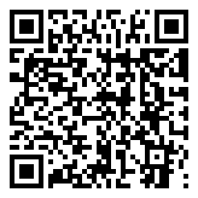 Negozio edo tokiko QR edo bidi kodea
