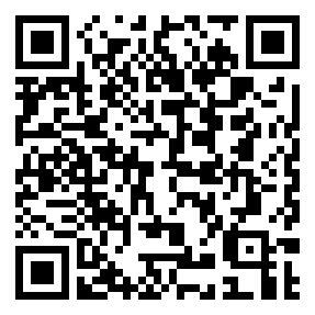 Negozio edo tokiko QR edo bidi kodea