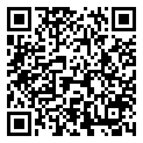 Negozio edo tokiko QR edo bidi kodea