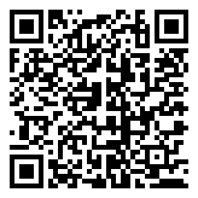 Negozio edo tokiko QR edo bidi kodea