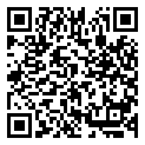 Negozio edo tokiko QR edo bidi kodea