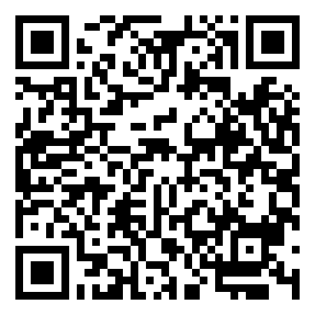 Negozio edo tokiko QR edo bidi kodea