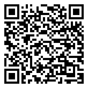 Negozio edo tokiko QR edo bidi kodea