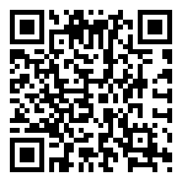 Negozio edo tokiko QR edo bidi kodea