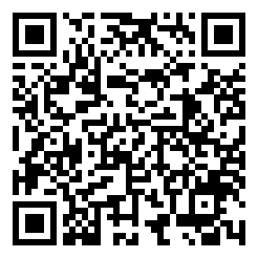 Negozio edo tokiko QR edo bidi kodea