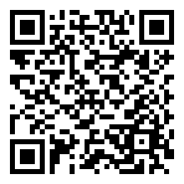 Negozio edo tokiko QR edo bidi kodea