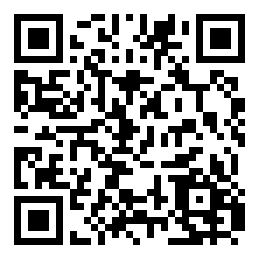 codice QR o Bidi dell'attività commerciale o luogo