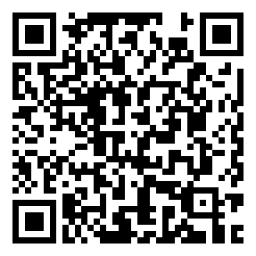 codice QR o Bidi dell'attività commerciale o luogo
