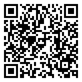 Negozio edo tokiko QR edo bidi kodea