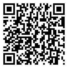 Negozio edo tokiko QR edo bidi kodea