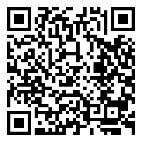 Negozio edo tokiko QR edo bidi kodea