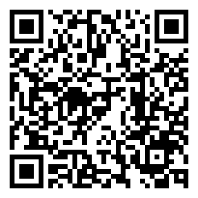 Negozio edo tokiko QR edo bidi kodea
