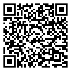 Negozio edo tokiko QR edo bidi kodea