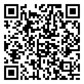 Negozio edo tokiko QR edo bidi kodea