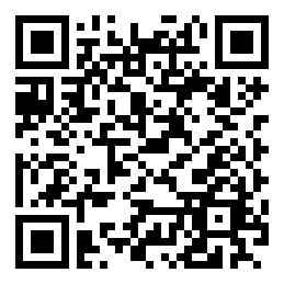 Negozio edo tokiko QR edo bidi kodea
