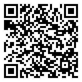 codice QR o Bidi dell'attività commerciale o luogo