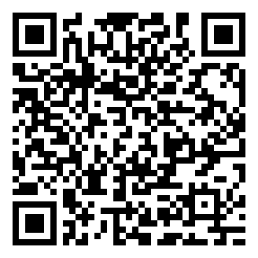 codice QR o Bidi dell'attività commerciale o luogo